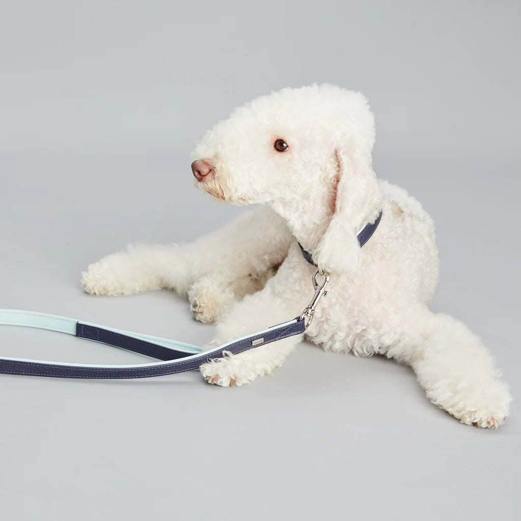 Duo Colors Leather Leash