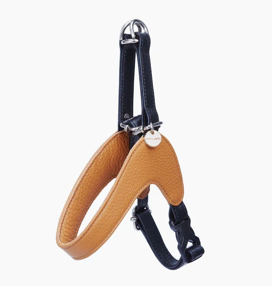 Duo Colors Leather Harness