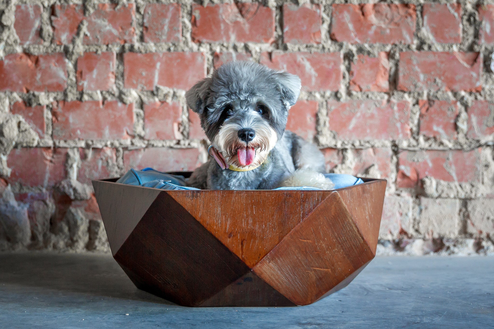 Ruby Wooden Pet Bed