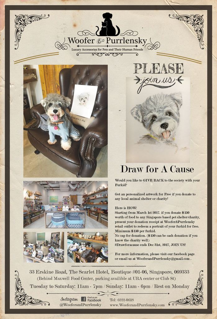 Give Back to the society with your pets!