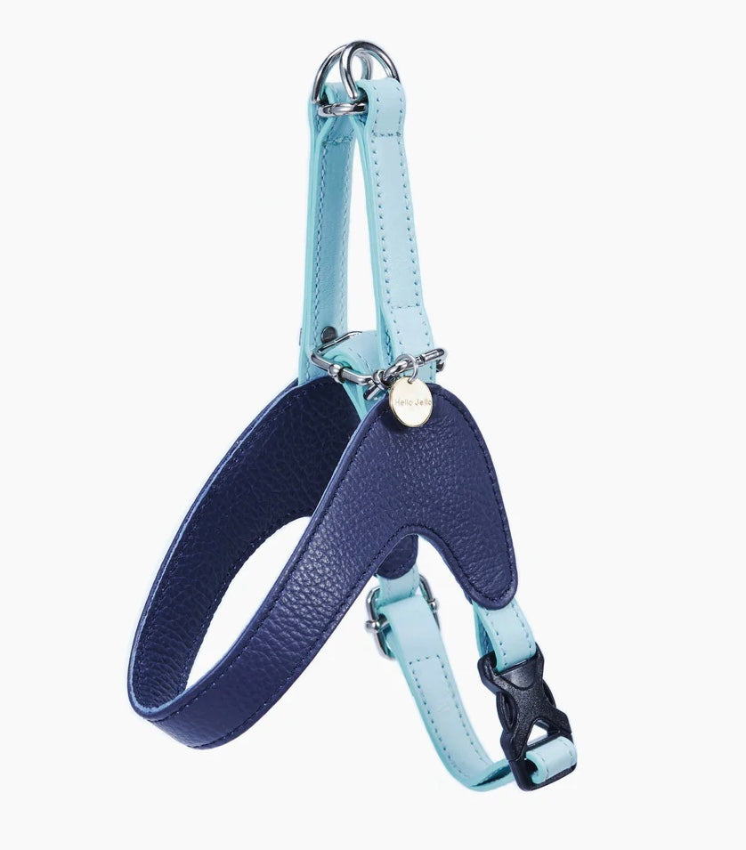 Duo Colors Leather Harness