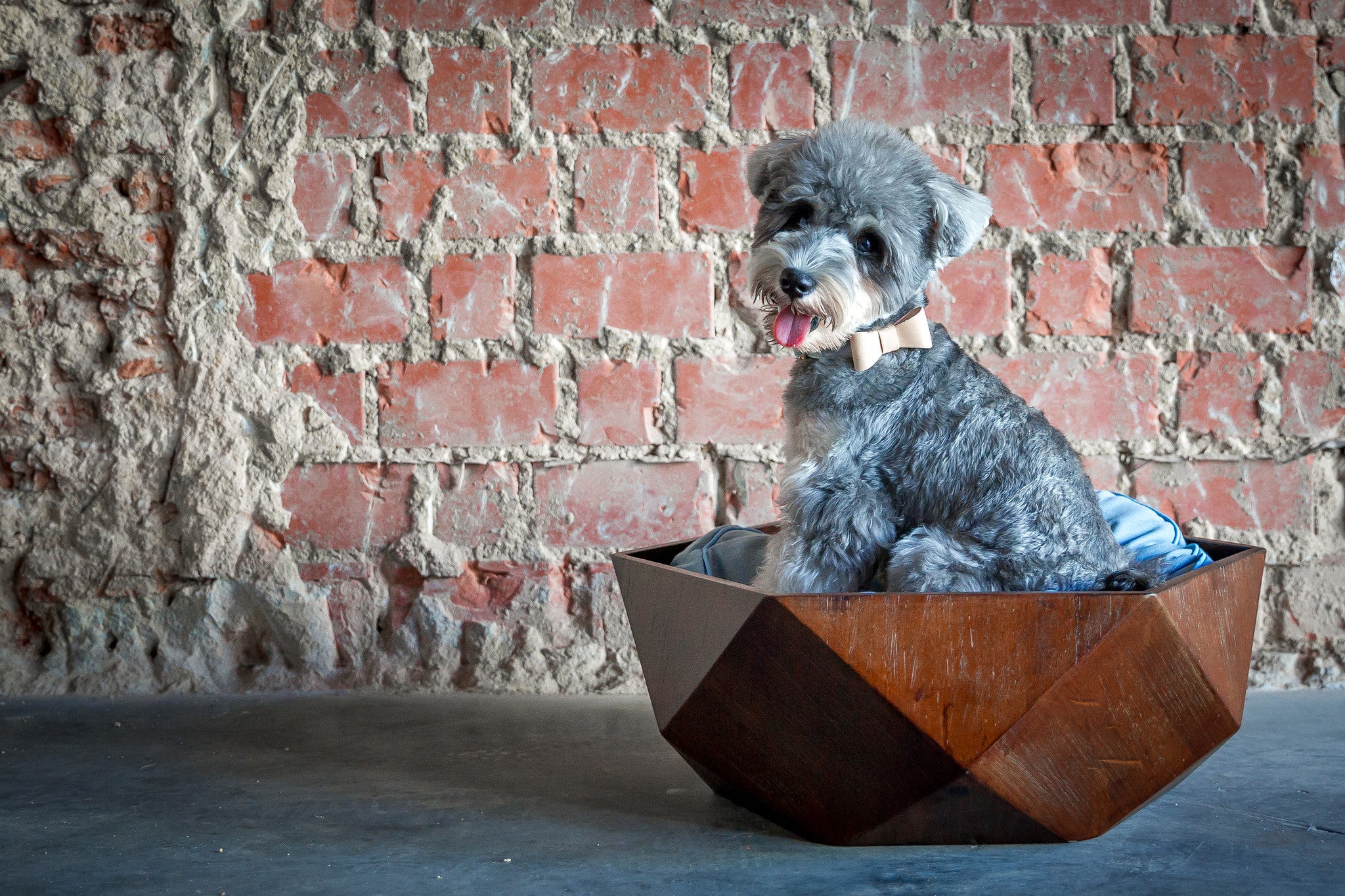 Ruby Wooden Pet Bed