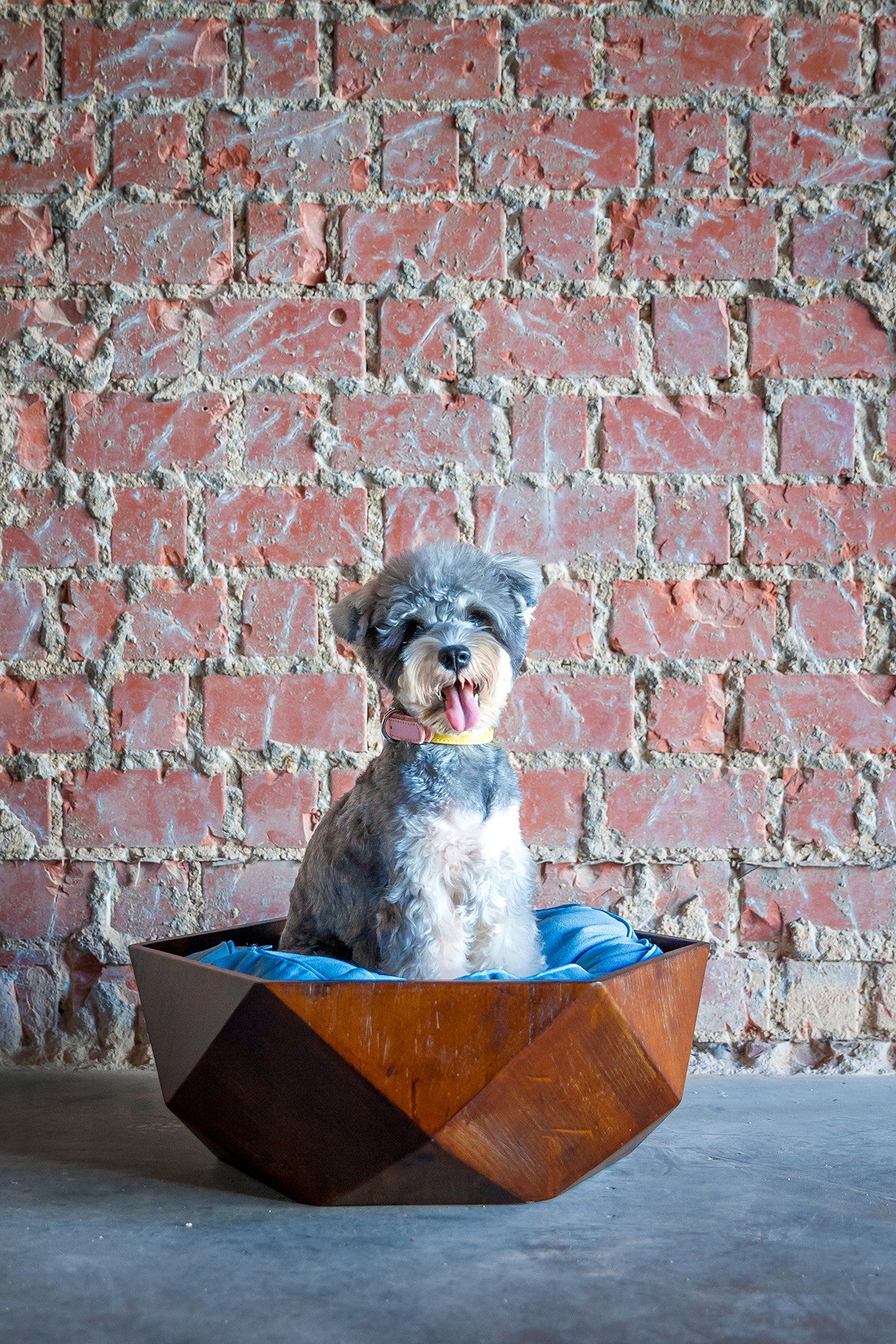Ruby Wooden Pet Bed