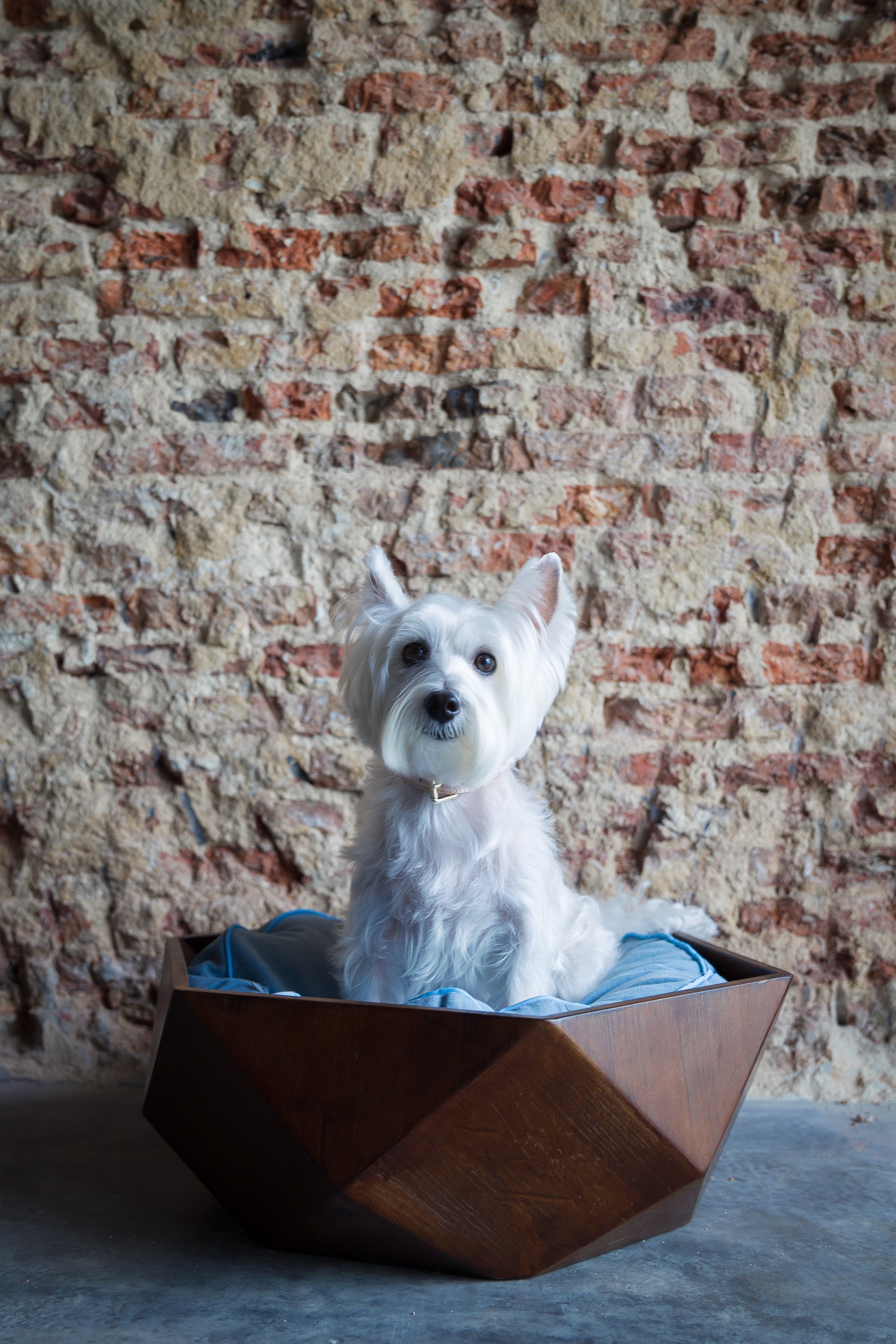 Ruby Wooden Pet Bed