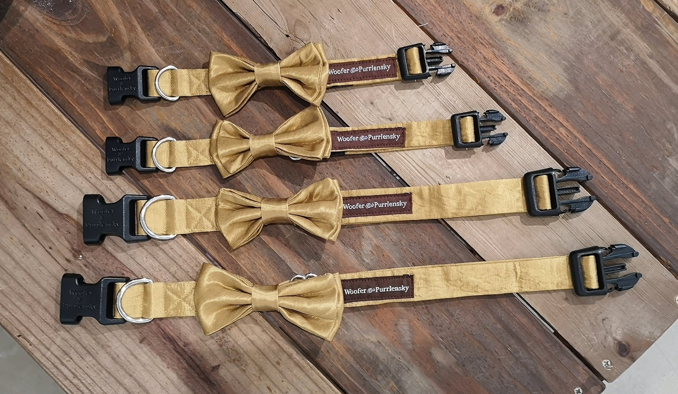 Benedict Bow Collar -I am Golden