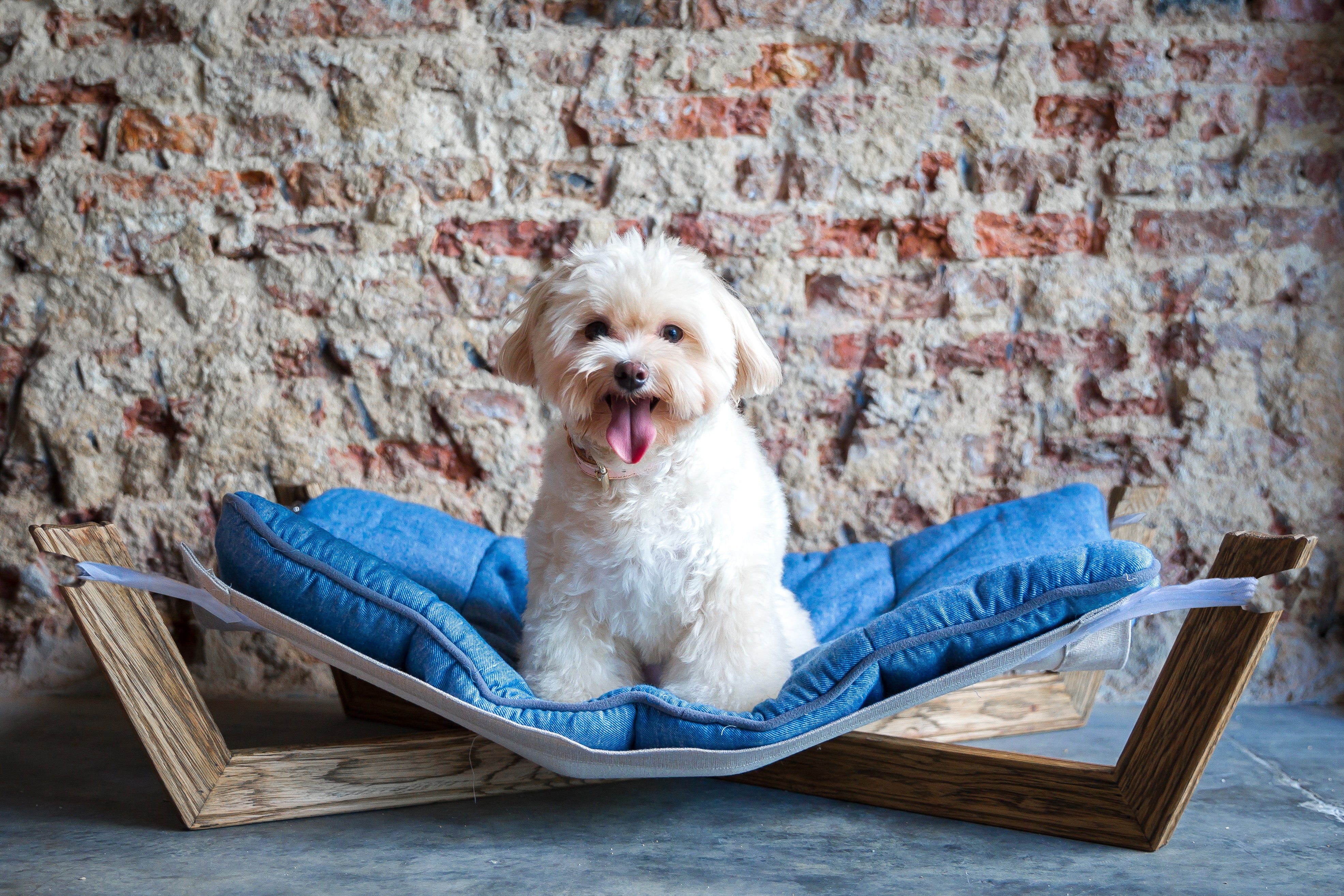 Quinn hammock Pet Bed