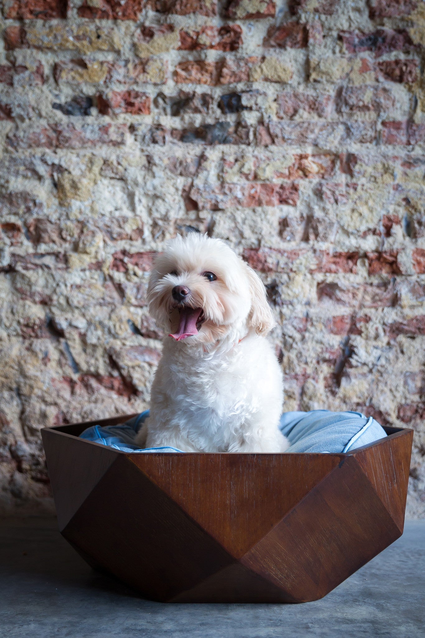 Ruby Wooden Pet Bed