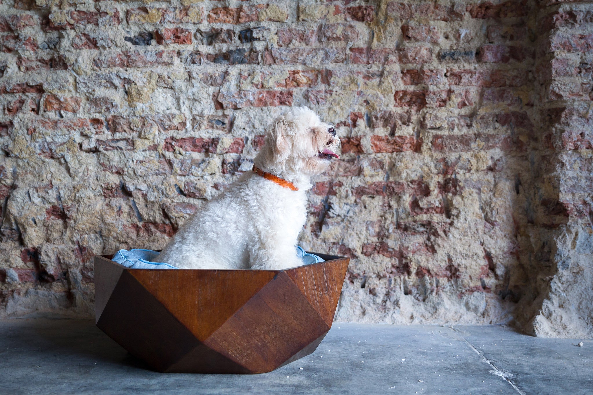 Ruby Wooden Pet Bed