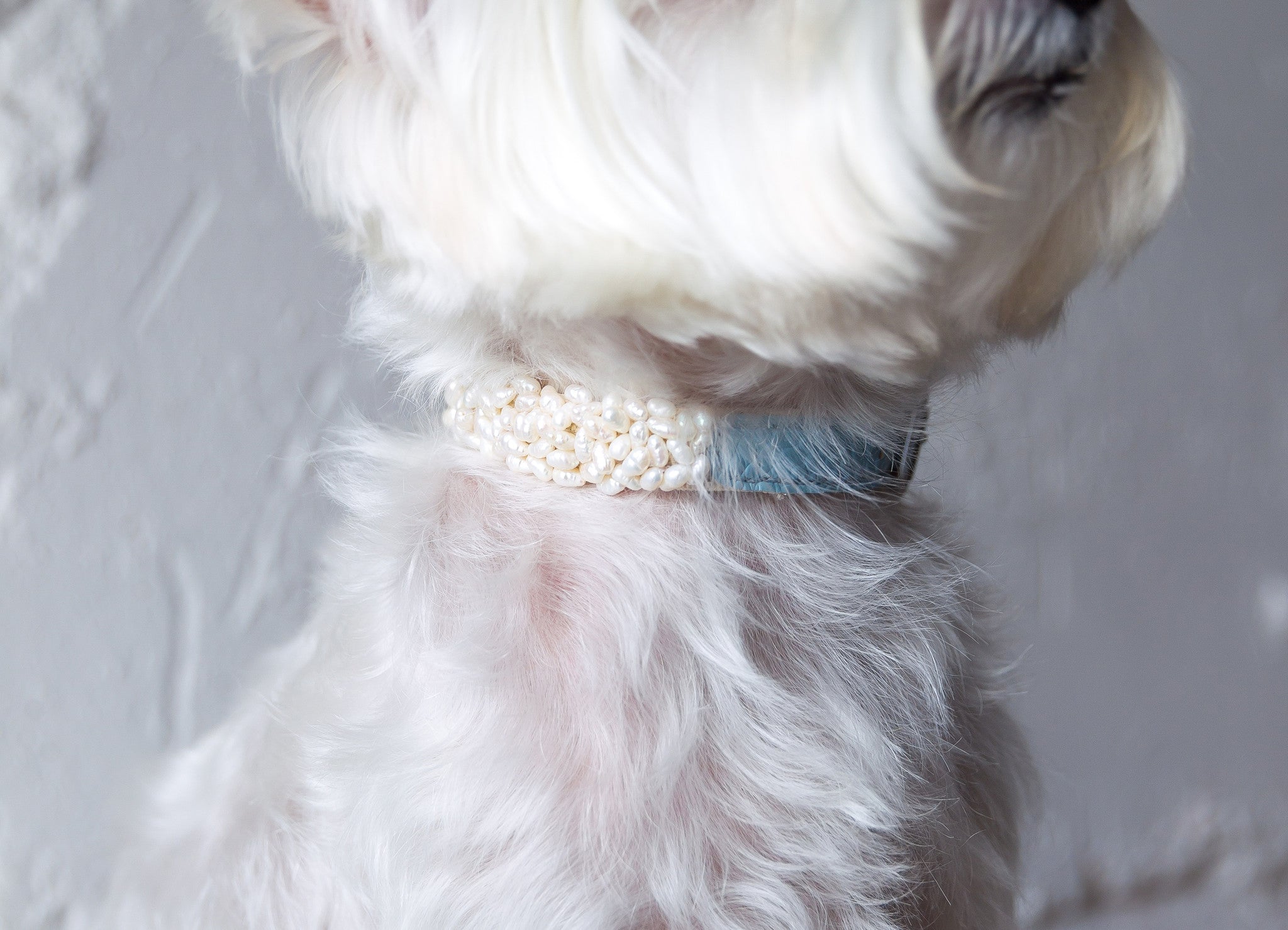 Skylar Pearl Leather Collar