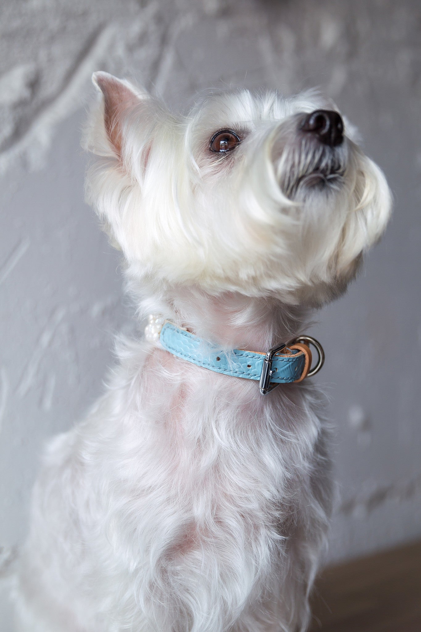 Skylar Pearl Leather Collar