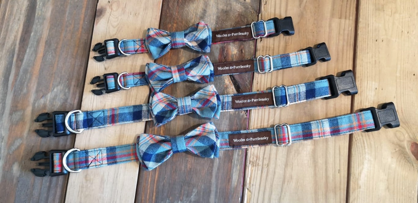 Benedict Fancy Bow Collar - Seabee Plaids