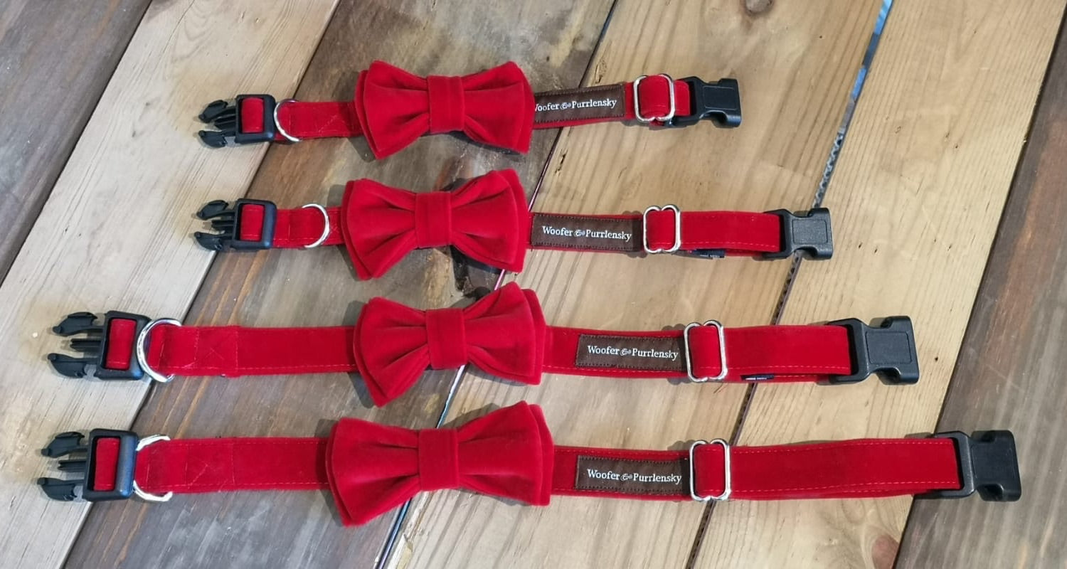 Benedict Fancy Bow Collar - Dapper Red