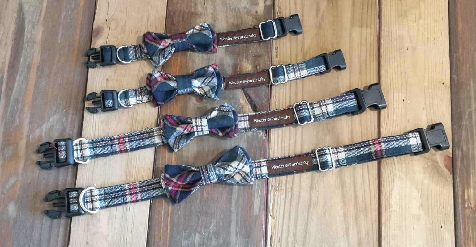 Benedict Fancy Bow Collar - Parisian Plaids