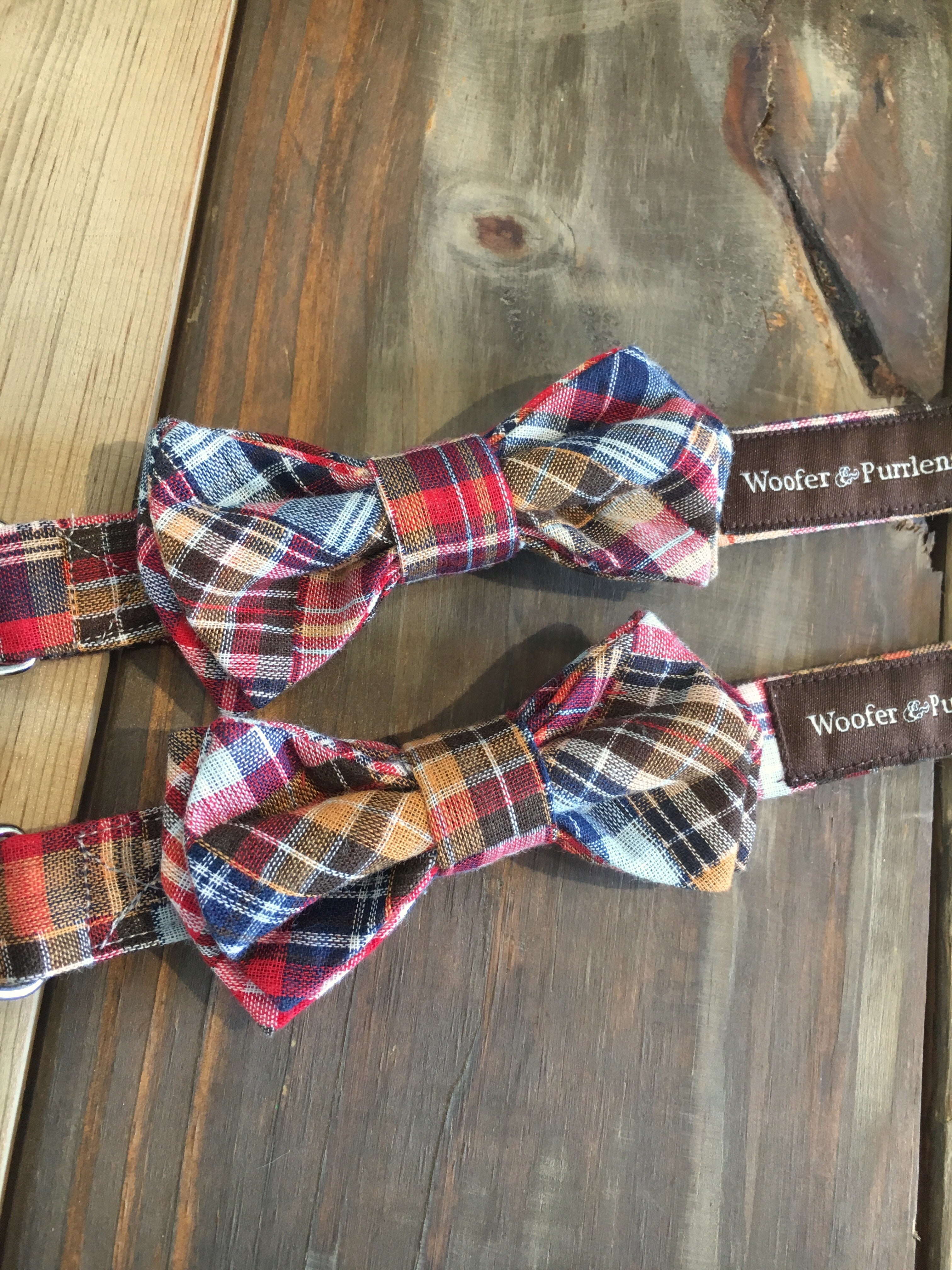 Benedict Patchwork Bow Collar -Merigold