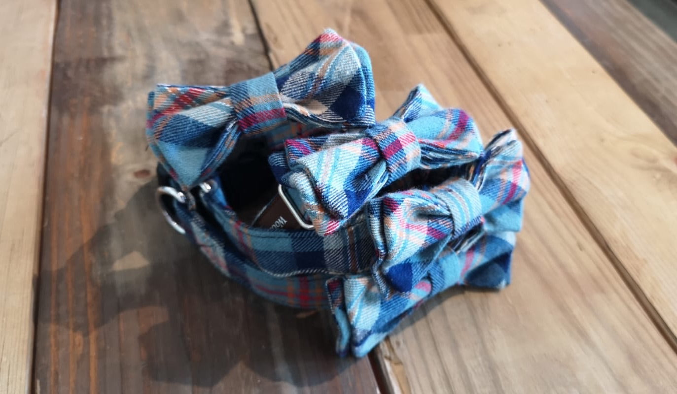 Benedict Fancy Bow Collar - Seabee Plaids